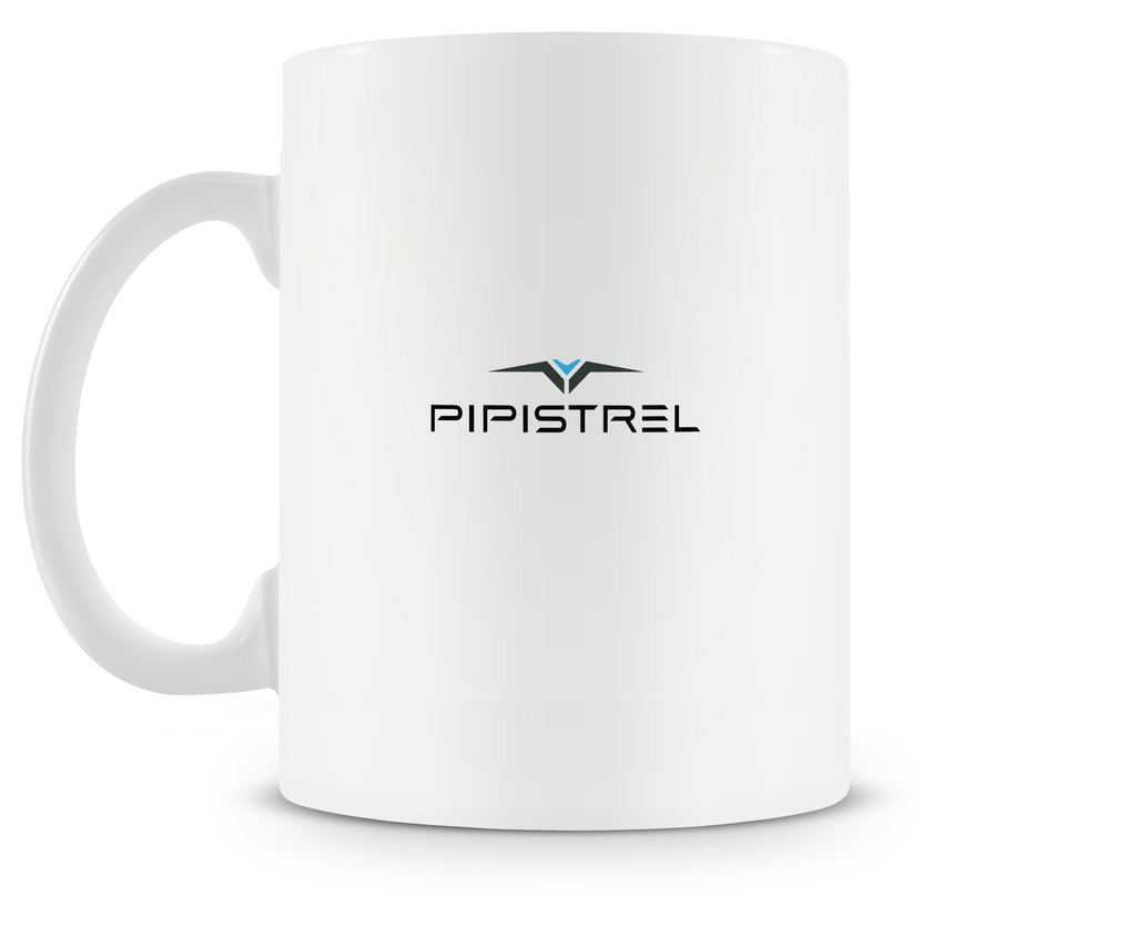 Pipistrel Alpha Electro